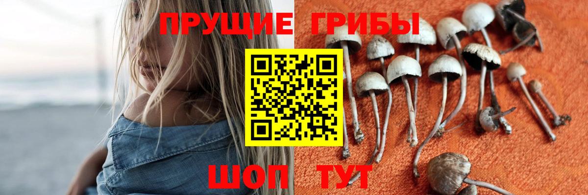 Павлово  Галлюциногенные грибы ЛСД  Вход с VPN  Галлюциногенные грибы Cubensis 